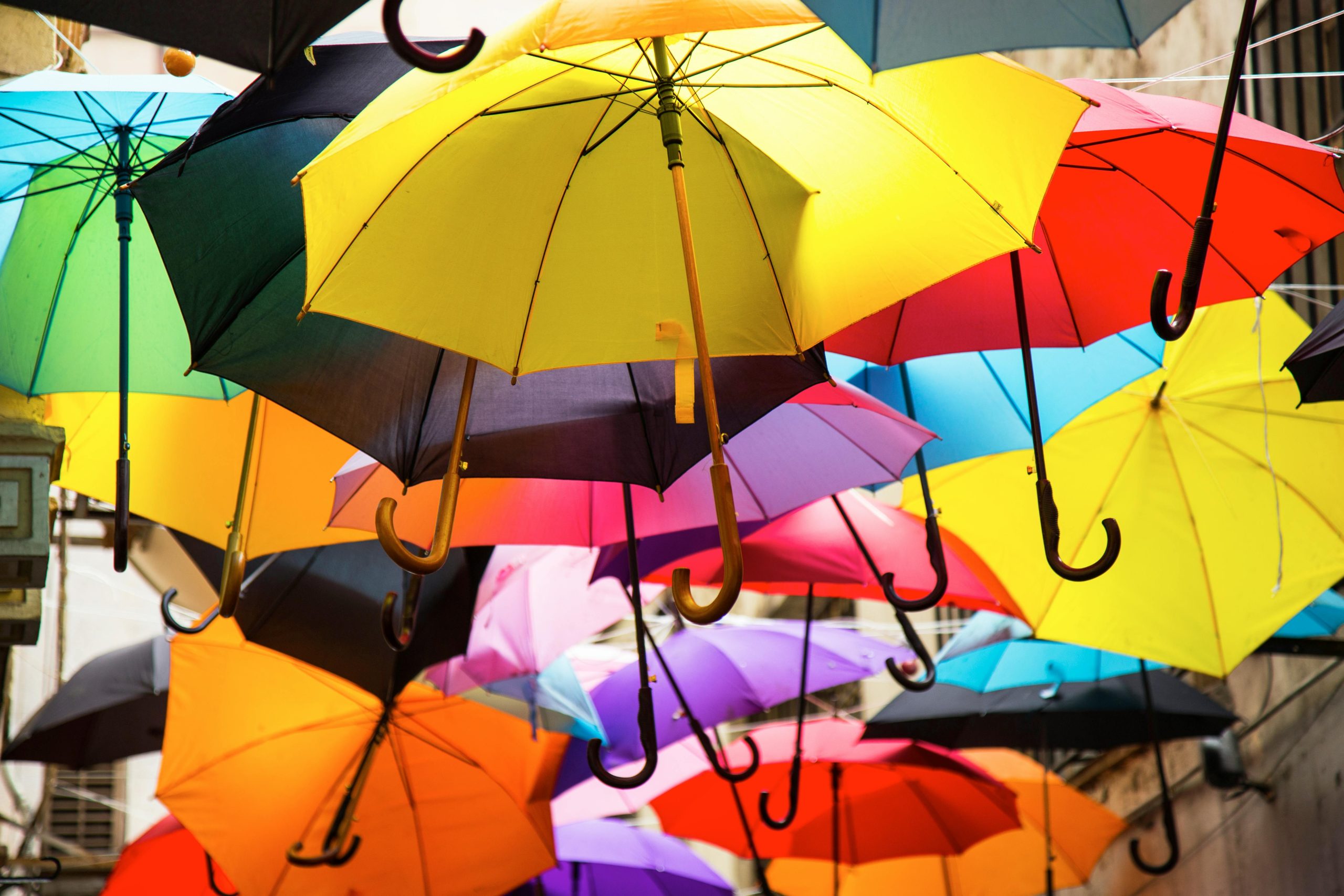 Vibrant display of colorful umbrellas suspended outdoors, creating a lively atmosphere.